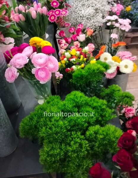 Chiama per concordare a telefono