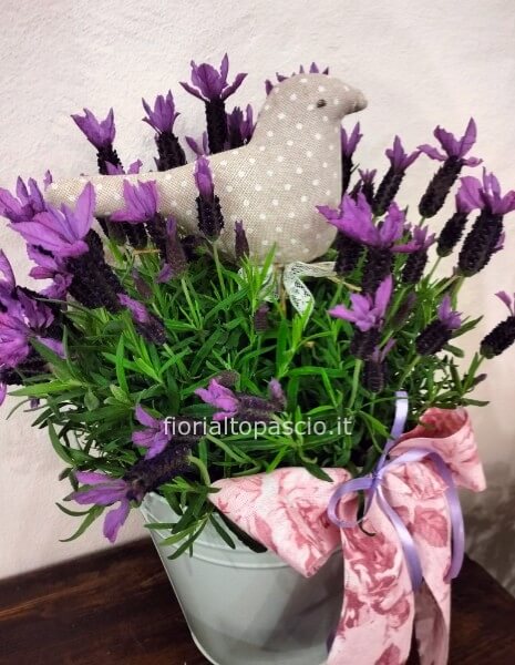 Pianta di lavanda con vaso di latta chiamare per la disponibilità